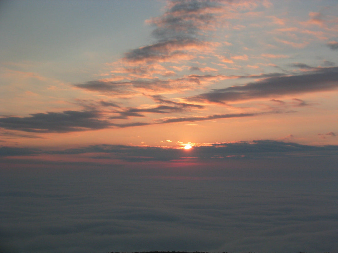 Hope of a New Morning
