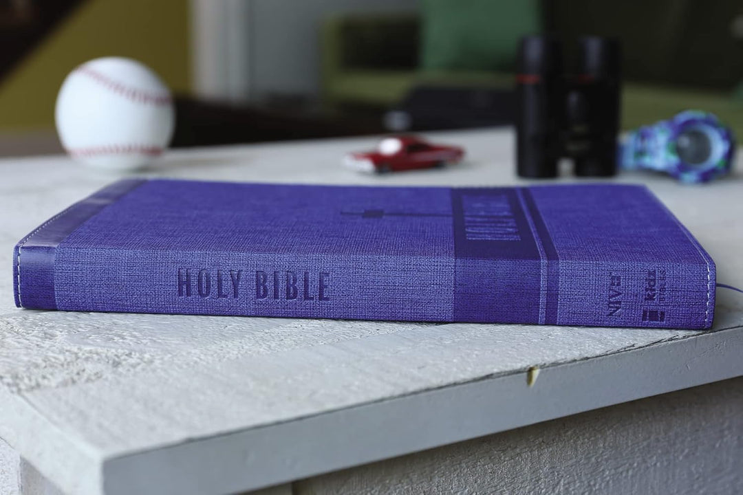 NIV, BIBLE FOR KIDS, LARGE PRINT, LEATHERSOFT, BLUE, RED LETTER, COMFORT PRINT