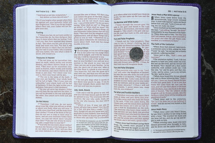 NIV, BIBLE FOR KIDS, LARGE PRINT, LEATHERSOFT, BLUE, RED LETTER, COMFORT PRINT