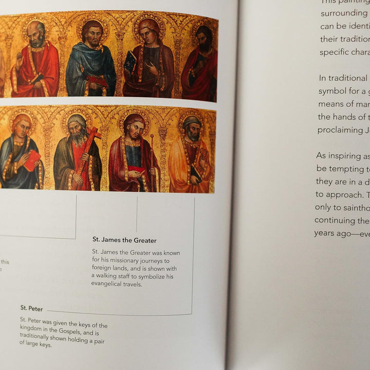 The Word on Fire Bible (Volume I): The Gospels - Paperback