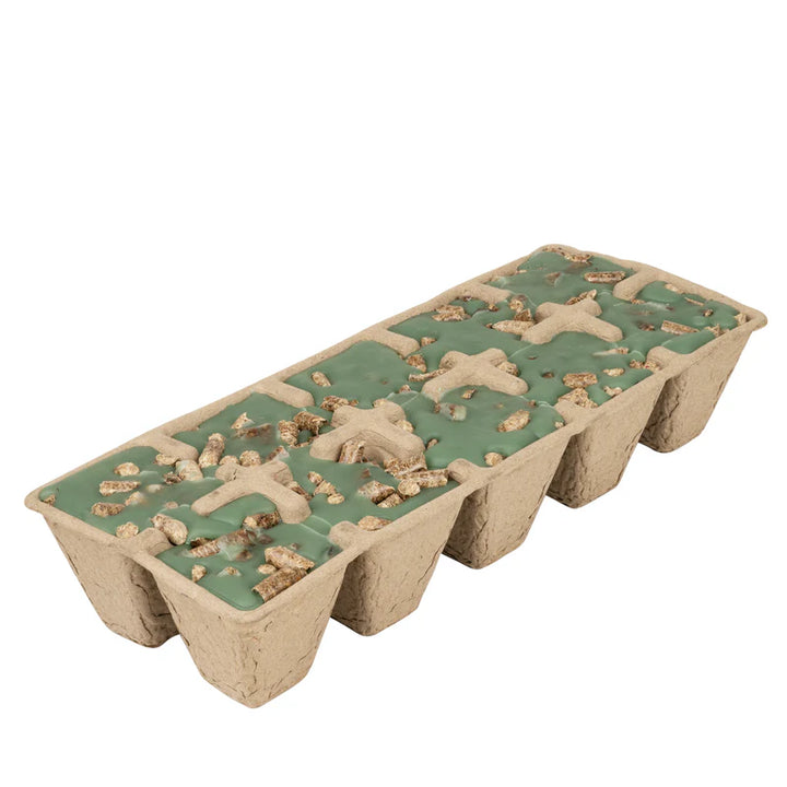 Firestarter - Evergreen Forest