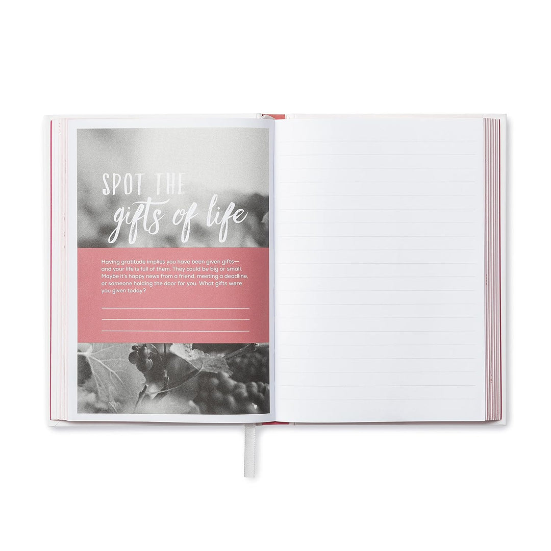 Finding Gratitude ― A Guided Gratitude Journal to Help You Notice the Good in Every Day