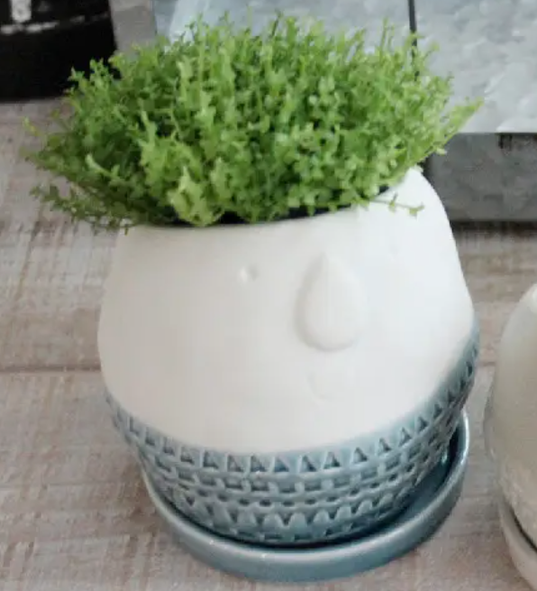 Blue Pudgie Planter - Small