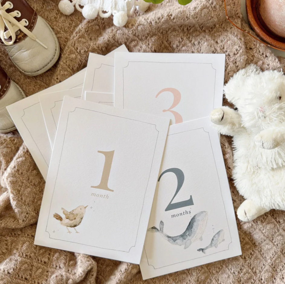 Baby Month Milestone Cards