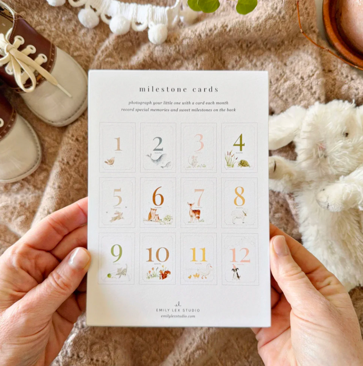 Baby Month Milestone Cards